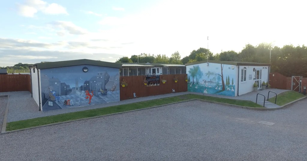 kennels cattery dog cat holiday boarding - pet sitting