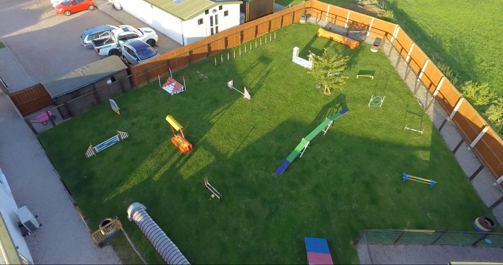 dog agility next to amazing kennels and cattery - dog and cat / pet sitting