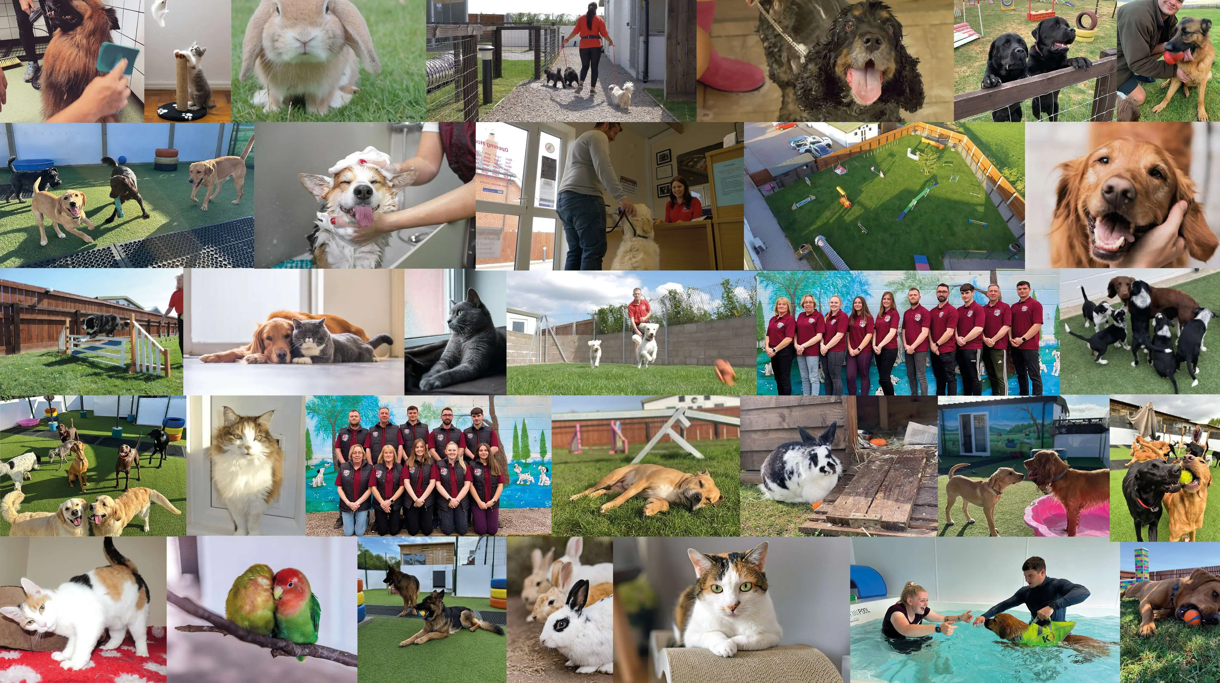best kennels, cattery, pet resort / hotel in gloucestershire, uk (gloucester and cheltenham)